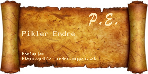 Pikler Endre névjegykártya